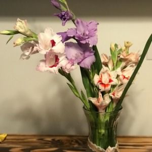 Meet your Posher, Jamie